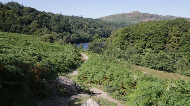 Green Stile Cottage - Photo 25