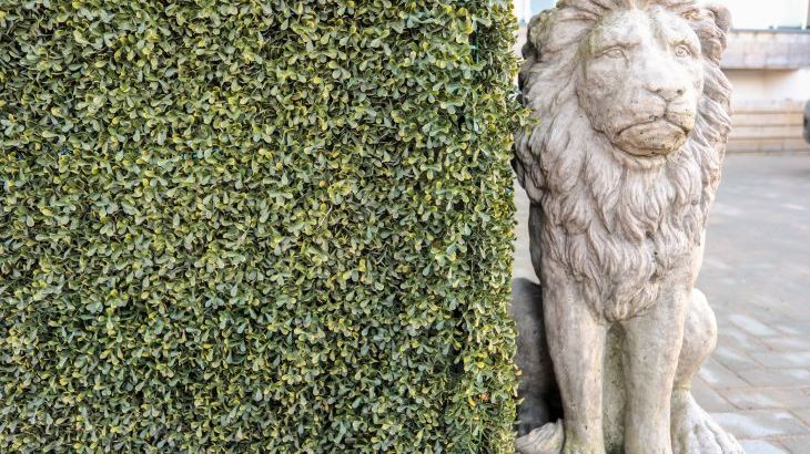 Bryn Min Manton Penthouse - Photo 31