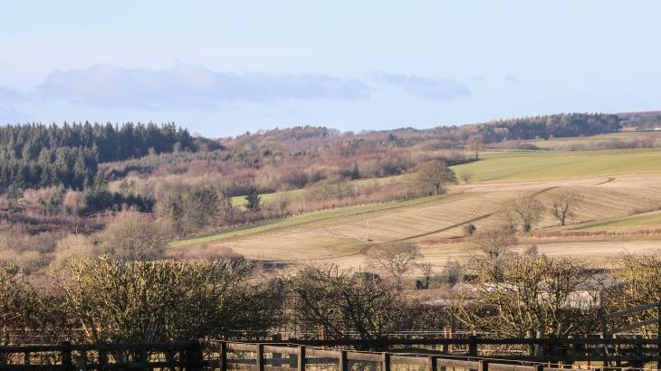 Westfield Lodge - Photo 14