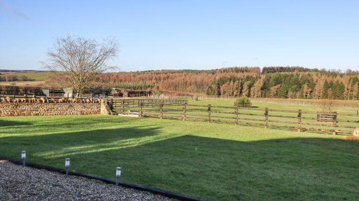 Westfield Lodge - Photo 16