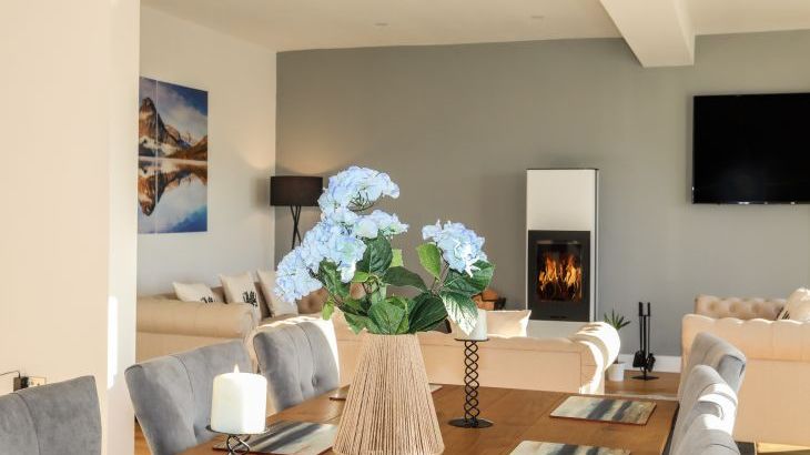 Bryn Min Manton Penthouse - Photo 4