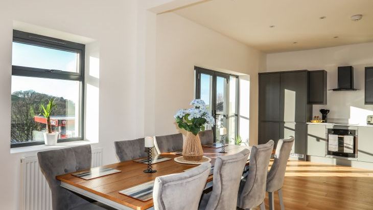 Bryn Min Manton Penthouse - Photo 8