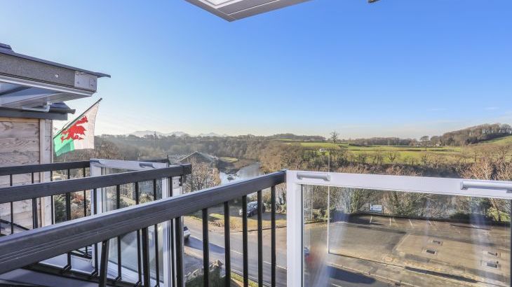 Bryn Min Manton Penthouse - Photo 25