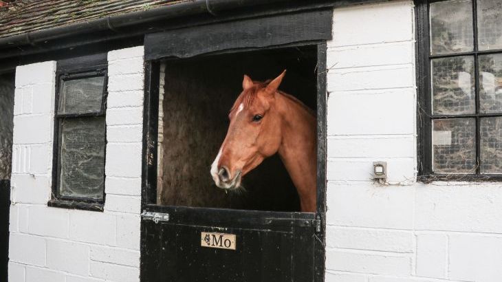 Willow Pod - Photo 25