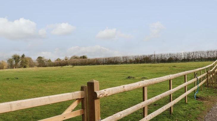 Filbert Pod - Photo 18