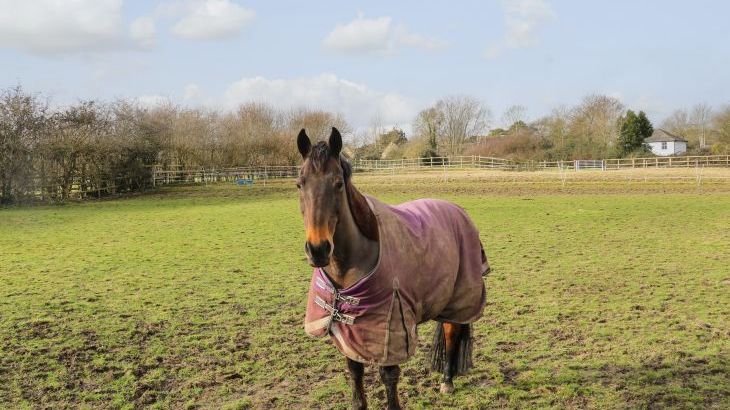 Filbert Pod - Photo 19