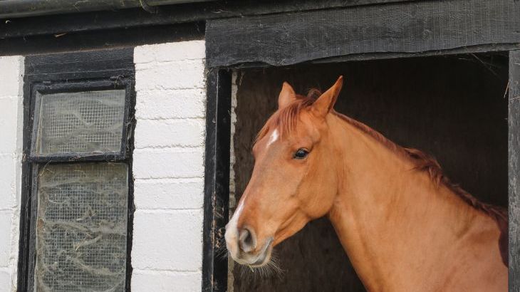 Filbert Pod - Photo 21