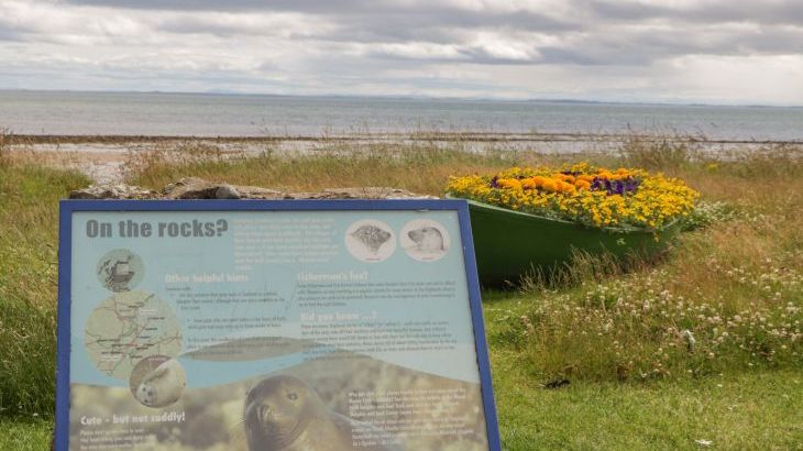 The Steading - Photo 37