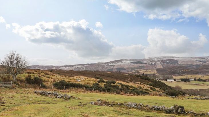 The Steading - Photo 41