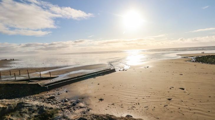 69 The Paddocks - Photo 26