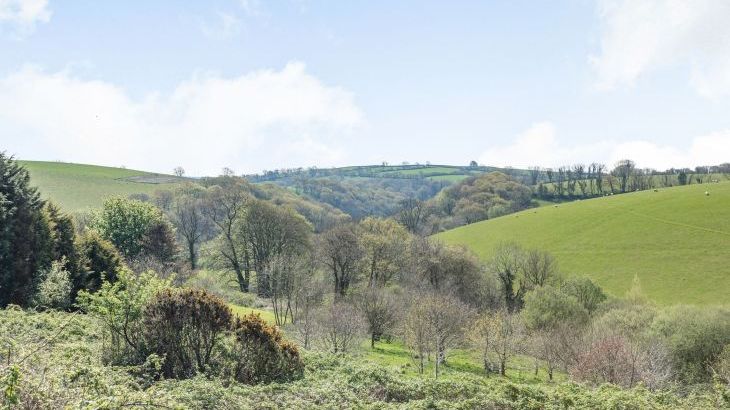 Hazel Barn - Photo 47