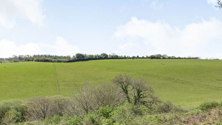 Hazel Barn - Photo 48