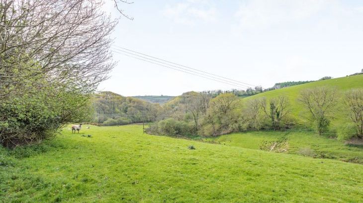 Hazel Barn - Photo 52