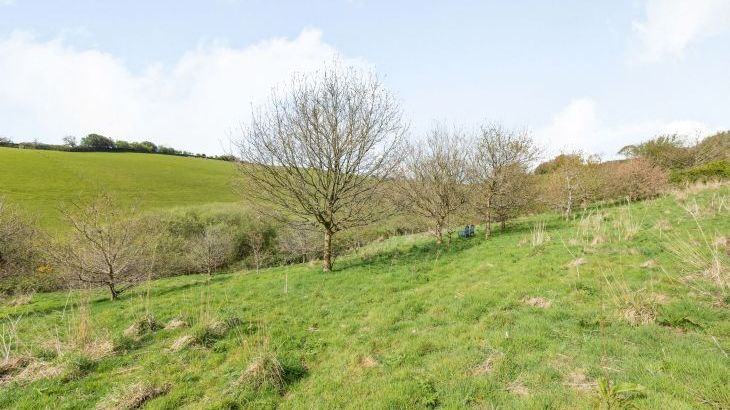 Hazel Barn - Photo 56