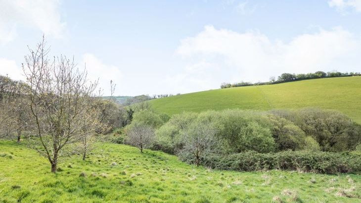 Hazel Barn - Photo 59