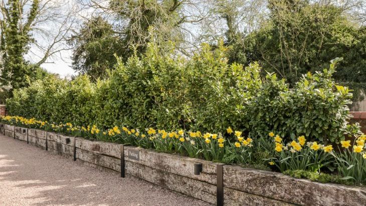 Little Lugg - Photo 29