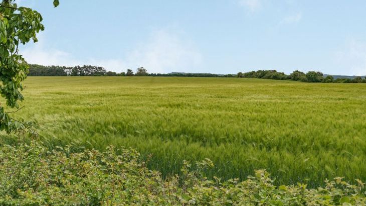 Chasewoods Farm Cottage - Photo 20