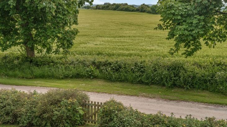 Chasewoods Farm Cottage - Photo 29