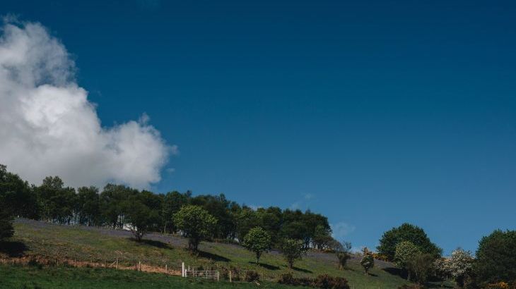 Lamb Cottage - Photo 3