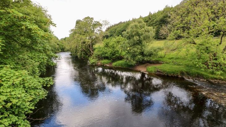 Meadows Edge - Photo 29