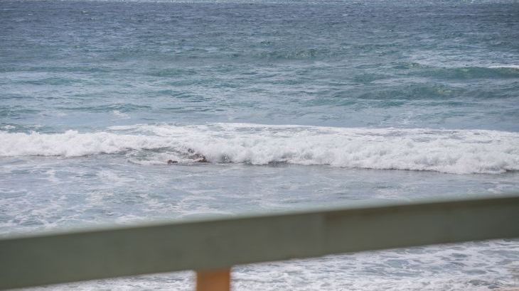 Beachcomber's Cottage - Photo 30