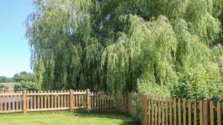 Willow Pod - Photo 20