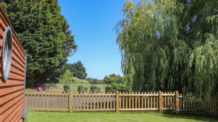 Willow Pod - Photo 21