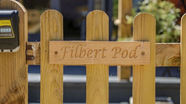 Filbert Pod - Photo 13