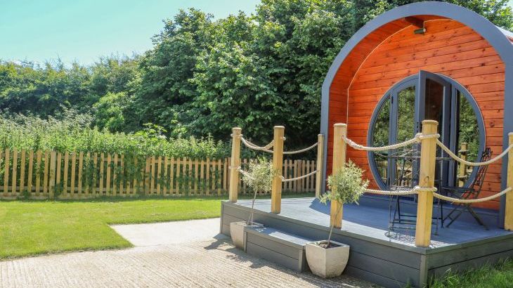 Filbert Pod - Main Photo