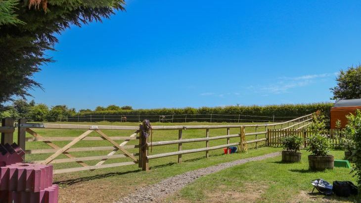 Filbert Pod - Photo 17