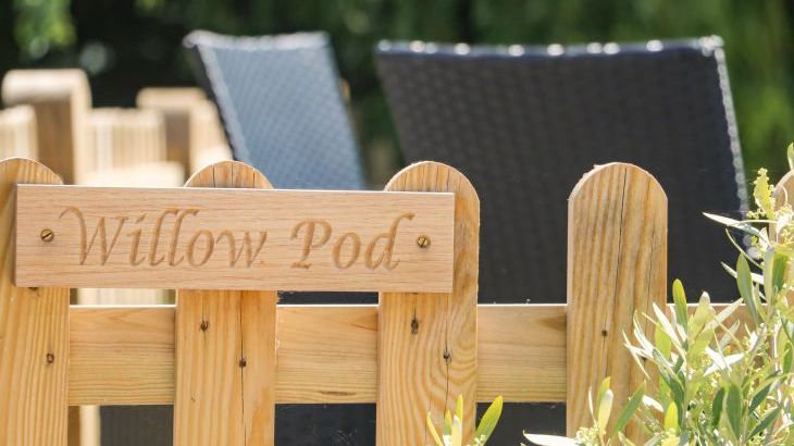 Willow Pod - Photo 16