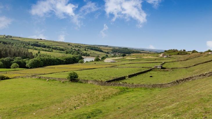 Long Ing Farm - Photo 35