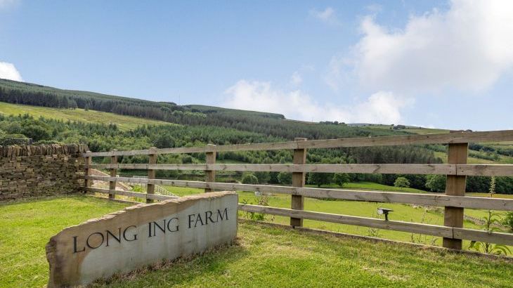 Long Ing Farm - Photo 36