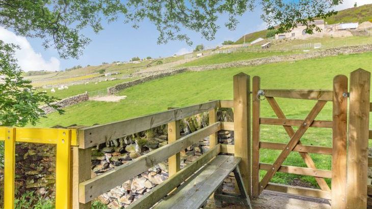 Long Ing Farm - Photo 37