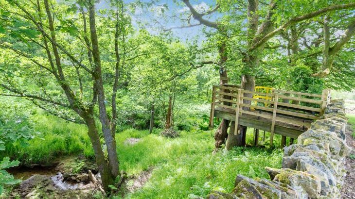 Long Ing Farm - Photo 38