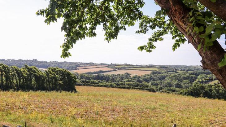 Polurrian House - Photo 37