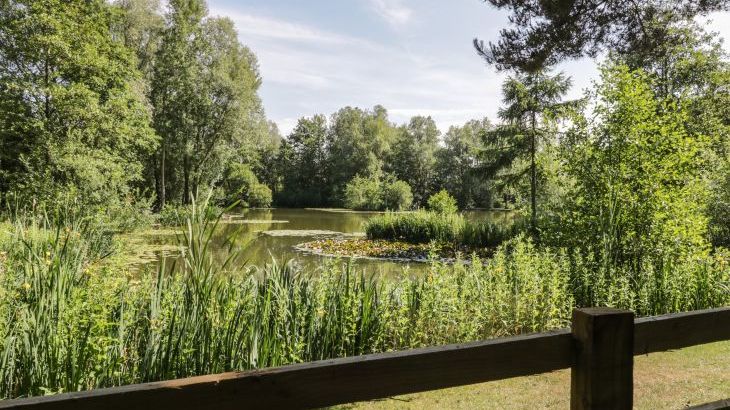 Lake View Lodge - Photo 28