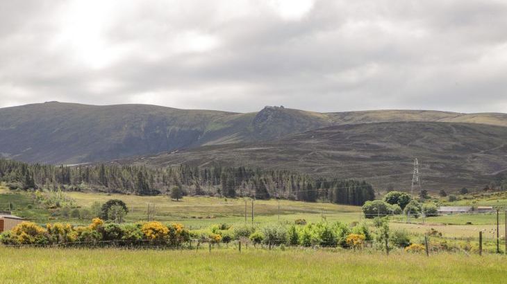 Moss of Bourach - Photo 30