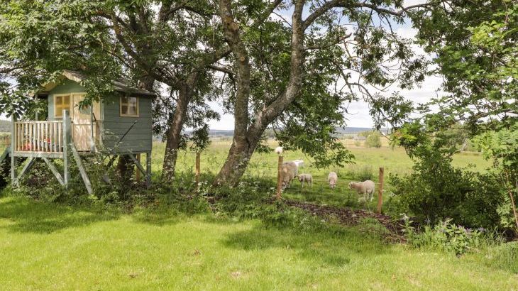 Moss of Bourach - Photo 28