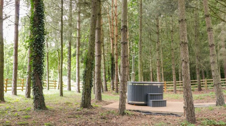 Lake View Lodge - Photo 21