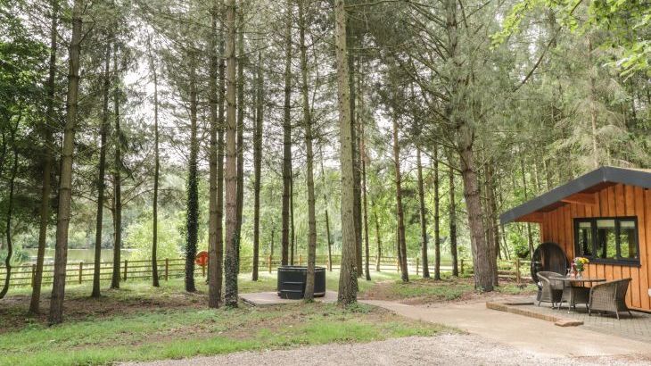 Lake View Lodge - Photo 22