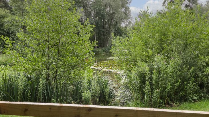 Lake View Lodge - Photo 24