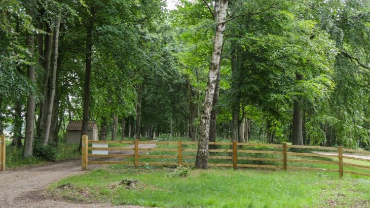 Lake View Lodge - Photo 25