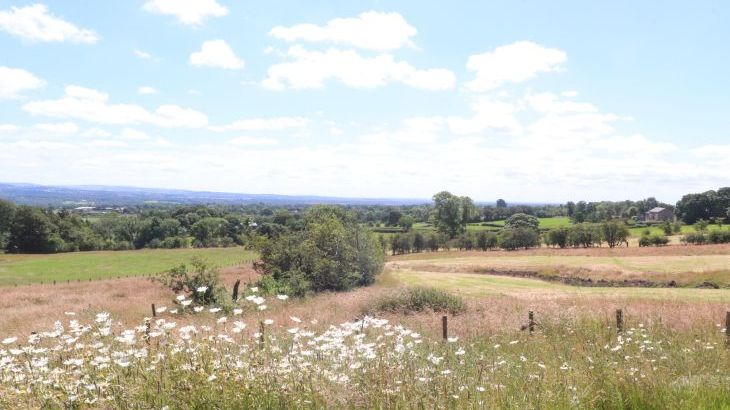 Cottam Cottage Farm - Photo 23