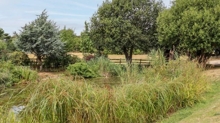 Solton Manor - Photo 53