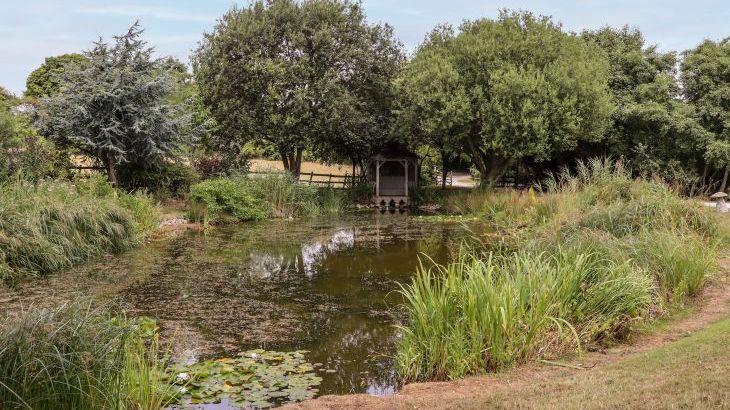 Solton Manor - Photo 55