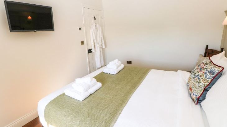 Catamouse - Photo 16