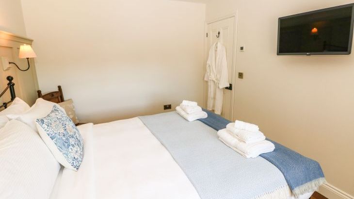 Catamouse - Photo 19