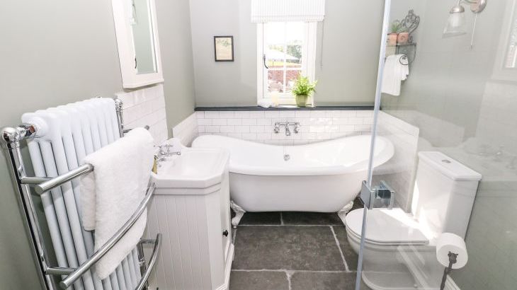 Catamouse - Photo 20