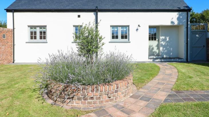 Catamouse - Photo 29